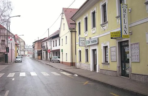 Po obvezni razlagi je sprememba namembnosti v pritlična stanovanja na Tržaški cesti prepovedana na prednji strani, na zadnji pa ne