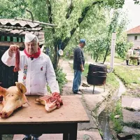 Madžarski kuhar ... 