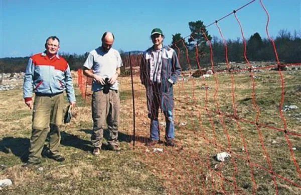 Tako so  lani spomladi v okviru projekta Slowolf postavili oranžno električno ograjo pri Zagorju 