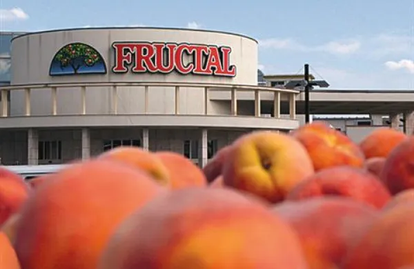 Srbski proizvajalec sadnih pijač Nectar je danes objavil prevzemno ponudbo za preostale delnice Fructala