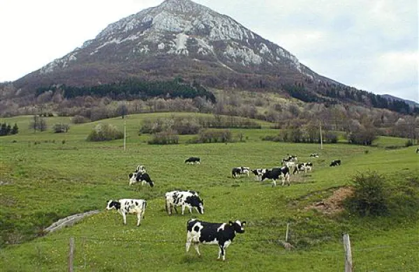 Slovenski hribi naj bi se vse bolj segrevali 