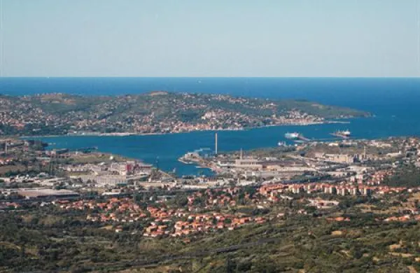 Bo Žavljah stal plinski terminal ali ne?