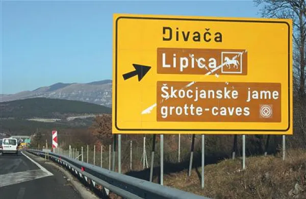 Kako do Lipice in &Scaron;kocjanskih jam?