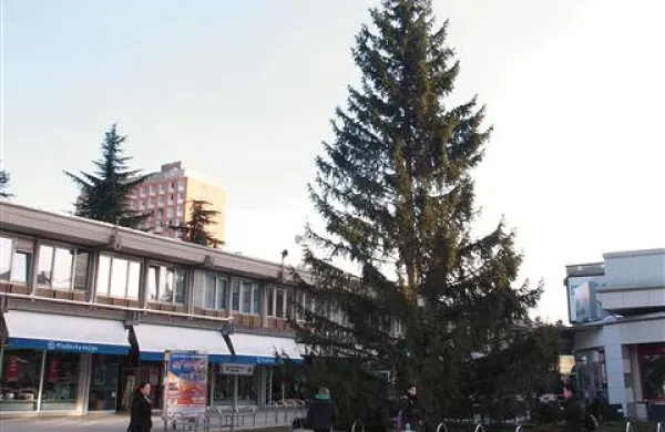 So jo pozabili ali pustili za poletje?