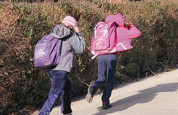 Zaprte bodo OŠ Dobravlje, OŠ Danila Lokarja Ajdovščina, OŠ Šturje in Otroški vrtec Ajdovščina ter vse podružnice in enote šol, pa tudi Srednja šola Veno Pilon, Zavod za šport Ajdovščina, Lavričeva knjižnica Ajdovščina in Varstveno delovni center Ajdovščina.