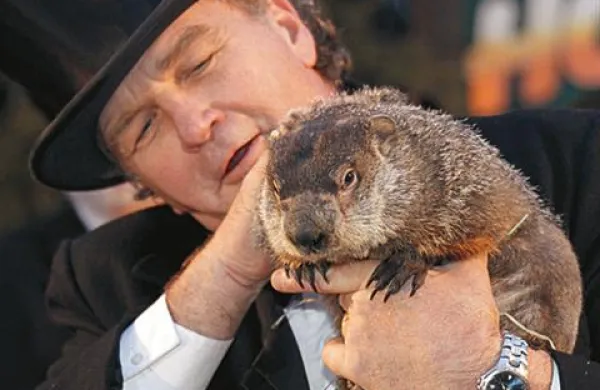 Svizec Punxsutawney Phil 