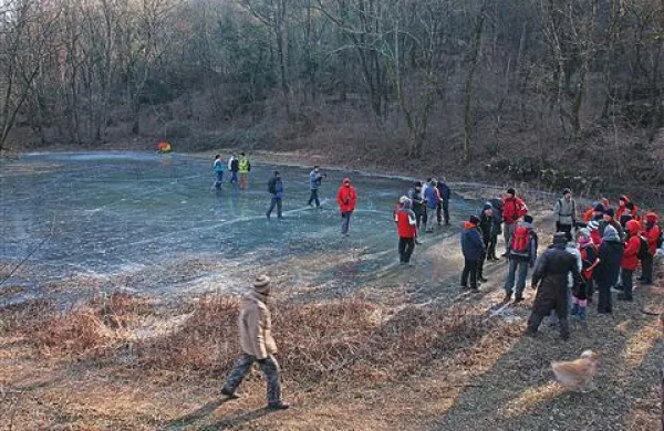 Burja in mraz sta zamrznila kra&scaron;ke kale
