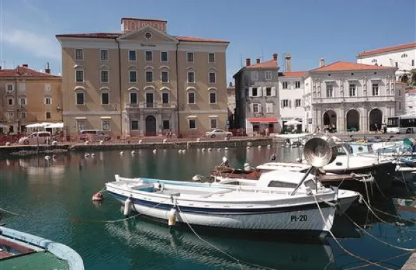 V občini razmišljajo, da bi v palačo Trevisini (če bi jo pridobili) poleg glasbene šole umestili tudi Emuni