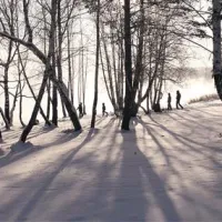 Živali in zima