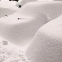 Avtomobili v Bukarešti so povsem prekriti s snegom