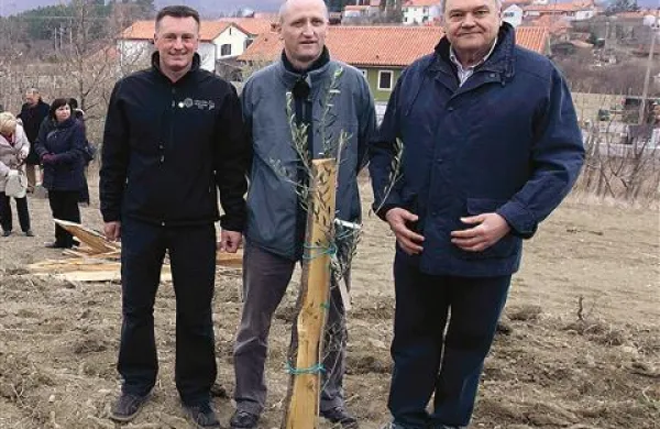 Svojo oljko ima v Popetrah tudi sinoči ustanovljeni izolski lion klub, ki ga vodi Aleš Lipnik (v sredini): Ob njem sat botra kluba, Dejan Žigon (levo) in Dravo Ferligoj. 