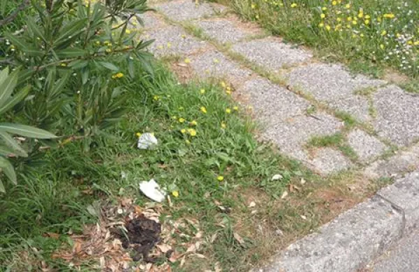 Izolske lastnike psov, ki ne bodo poskrbeli za iztrebke svojih ljubljenčkov, bodo kmalu kaznovali z globami