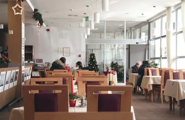 Zaposleni se bojijo, da bo pranje umazanega perila v javnosti odgnalo goste iz Lipice