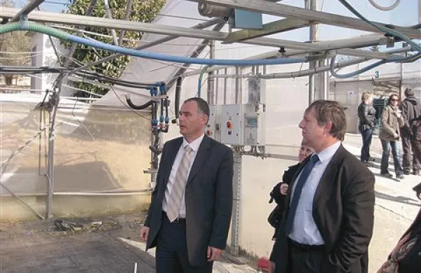Državni sekretar Branko Ravnik (desno) si je včeraj z direktorjem KZ Agraria Bojanom Frančeškinom ogledal tudi razbite rastlinjake na posestvu  Purisima