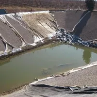  Burja je strgala folijo vodnega zbiralnika na posestvu Purisima, ki mu brez vode grozi propad, opozarjajo v KZ Agraria