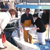 Ciplje bodo danes prodajali na pomolu