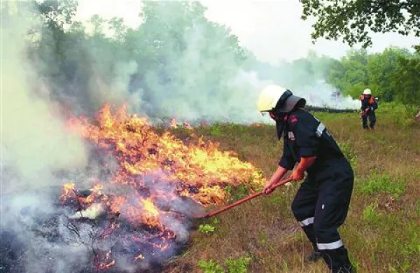 V Novi Gorici je prepovedano kuriti in uporabljati odprti ogenj. Fotografija je simbolična 
