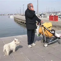 Koprska promenada je zelo dobro opremljena s pasjimi veceji, se strinjajo lastniki psov.  Zelenica ob sprehajališču pa kljub temu ostaja posejana z iztrebki.  