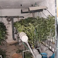 V slovenski Istri je vedno več &ldquo;dizajnerskih drog&rdquo;