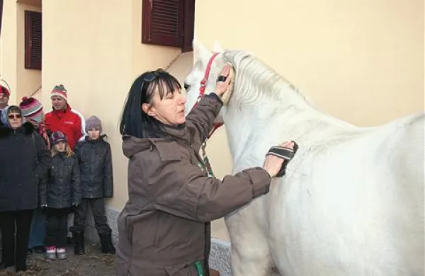 V Kobilarni Lipica bodo tečajnike seznanili ne samo z jahanjem, temveč tudi z drugimi opravili, povezanimi s konji - tudi s tem, kako se jih “štregla”. Ob tem seveda upajo, da bodo nekateri  tečajniki kasneje delali v Lipici kot poklicni jahači. 