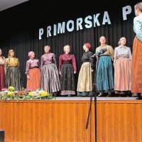 ŽpZ Stu ledi