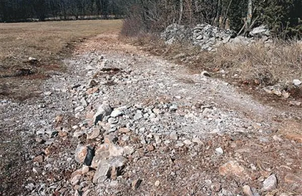 Prej tipični kraški kolovozi zdaj spominjajo na jarke na fronti.  A izvajalci pravijo, da se mora teren najprej posesti, potem ga bodo povaljali.