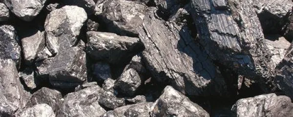 Čeprav je glavni vir energije na Poljske premog (tega je v izobilju), pa se Poljaki, tudi zaradi pritiskov EU, vse bolj odločajo za obnovljive vire energije, v prvi vrsti za veter  