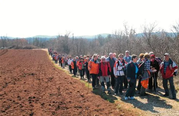 Gostili velenjske planince