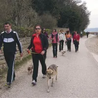 Kljub temu, da bo pohodnikom namenjen 1. april, jih je pot med solinami v nedeljo premerilo kakšnih sto