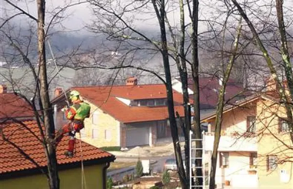 Brunov drevored bo ostal