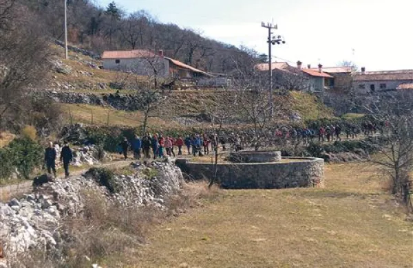 Pohod po  kraški gmajni