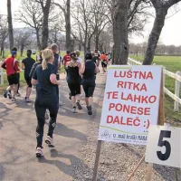 Luštna ritka ti da užitka ...