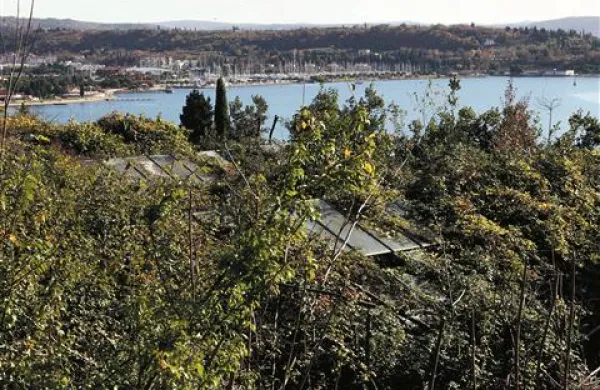 Na območju nekdanje portoroške vrtnarije bosta češki metalurg Moravia Steel in celjski poslovnež Tomaž Subotič kmalu gradila hotel ali vile 