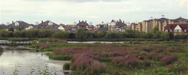 Umetno ustvarjeno mokrišče v Londonu (London Wetland Center) in elitna soseska, ki je zrasla tik ob njem