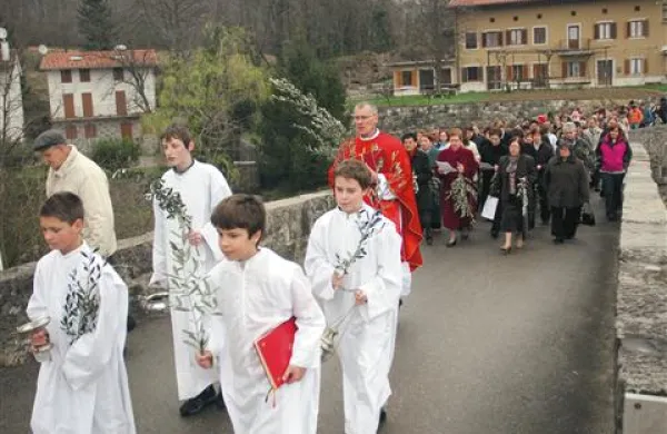 Na cvetno nedeljo bodo primorske cerkve v znamenju oljčnih vejic