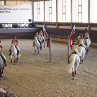 Lipicanci ple&scaron;ejo na Raayjevo glasbo