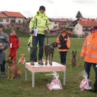 V disciplini iskanja pogrešanih oseb pod ruševinami sta prvo mesto osvojila David Pogačnik in psička Fina Adin dom (v sredini) pred hrvaškimi tekmeci. Druga sta bila Matko Skalamera in Tus (levo), tretja pa Sebastjan Leban in London black wind of Varaždin.