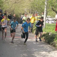 Start starejših dečkov