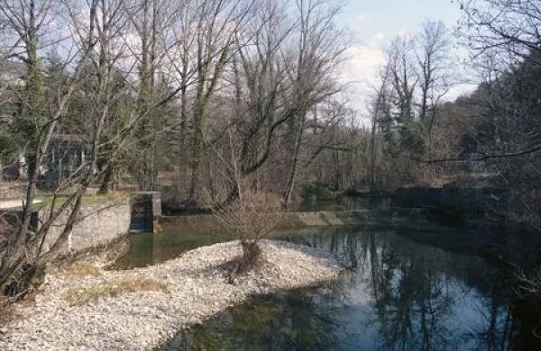 Struga Rižane pod izvirom 