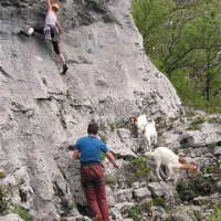 Gradiška tura odpira pot v različne smeri in za različno spretne