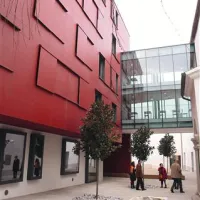Ideje kako reševati težave FHŠ, burijo strasti