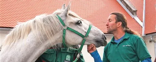 Kobili v &scaron;olo k  virtuozu