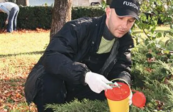 Pred štirimi leti so nekatera društva v sežanskem mestnem parku organizirala pobiranje igel