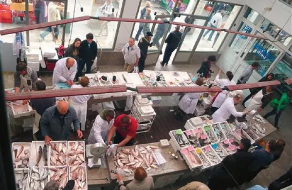 Kupec ne more vedeti, kaj na ribarniških pultih je prišlo naravnosti iz ribiških mrež slovenskih ribičev, in kaj so trgovci pripeljali s  tržaške borze