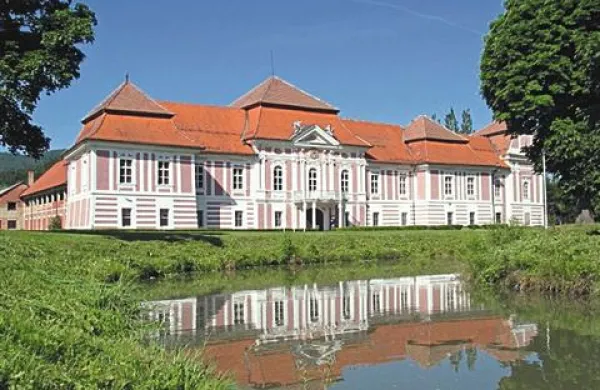 Mariborsko sodišče je v sredo razglasilo stečaj v podjetju Betnava, ki je vodilo obnovo istoimenskega dvorca mariborske nadškofije