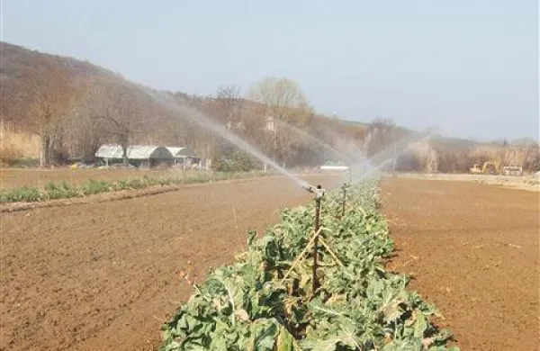 Najmanj vode ima slovenska Istra, severovzhodna Slovenija in Krško polje