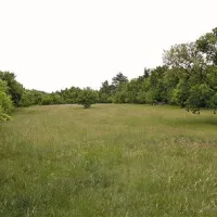 ... sedaj so tu še travniki, gmajna in gozd
