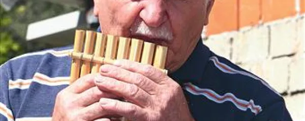 Iz ene kanele nastane  lahko tudi za oktavo tulcev ...  