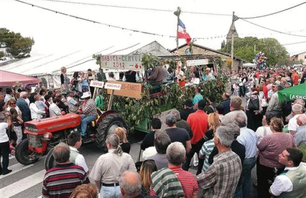 Zmagovalni voz Čentur-Babiči-Pilje, Šagra od enbot