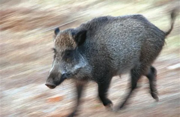 Fotografija je simbolična